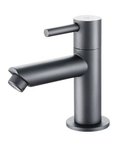 Toiletkraan - Fonteinkraan - Koudwaterkraan 1/2 - Leoni Crinty - Opbouw - PVD - Gunmetal Grijs