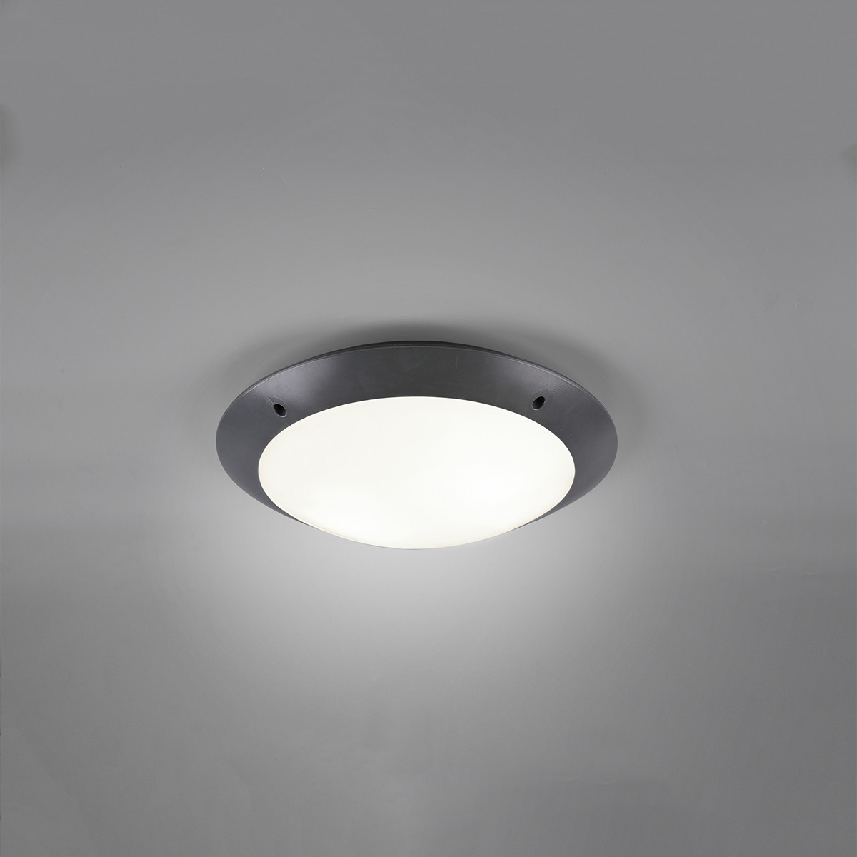 LED Plafondlamp - Badkamerlamp - Trion Camiro - Opbouw Rond - Waterdicht IP54 - E27 Fitting - 2-lichts - Mat Antraciet - Kunststof